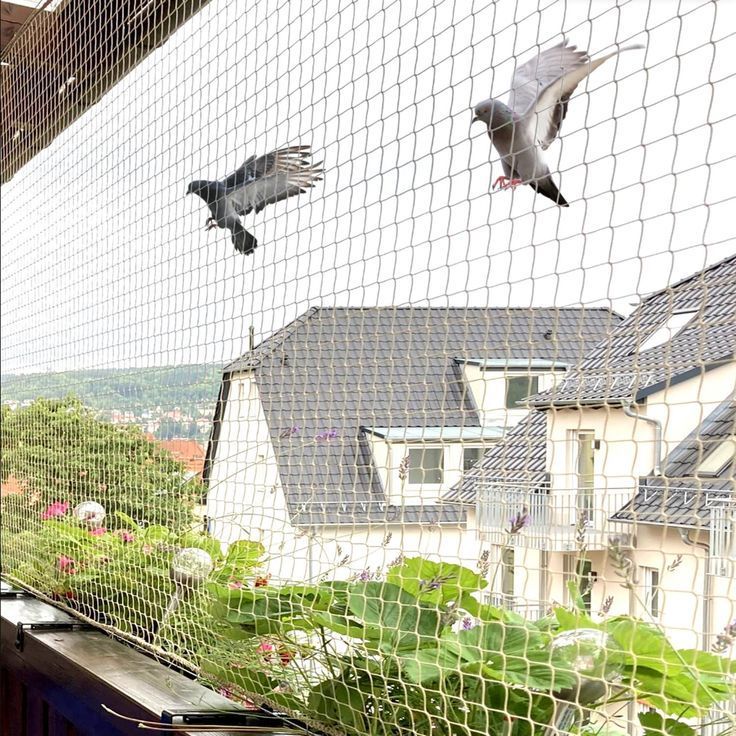 Pigeon Safety Nets in Lingampally