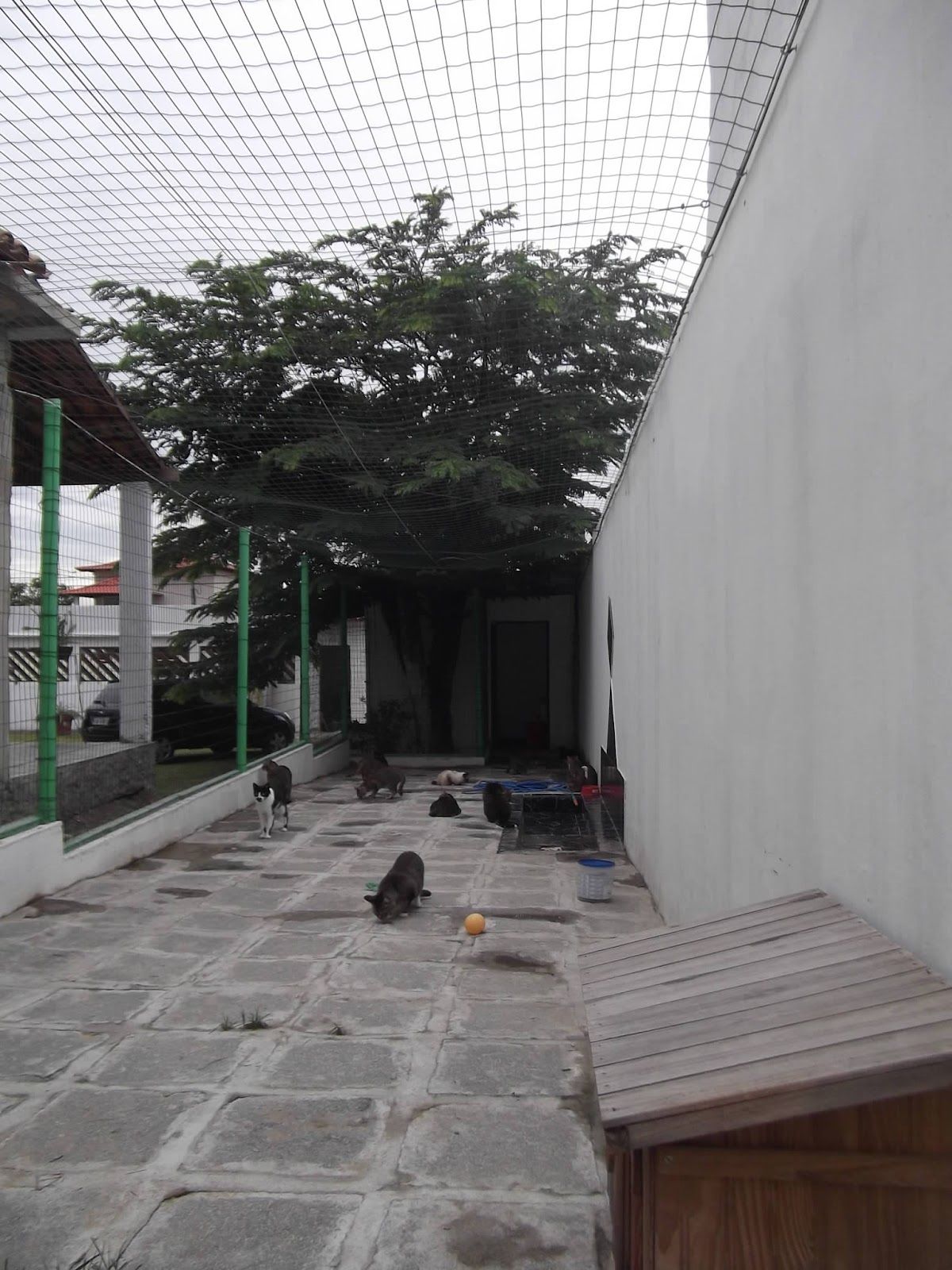 Balcony Safety Nets Chandanagar