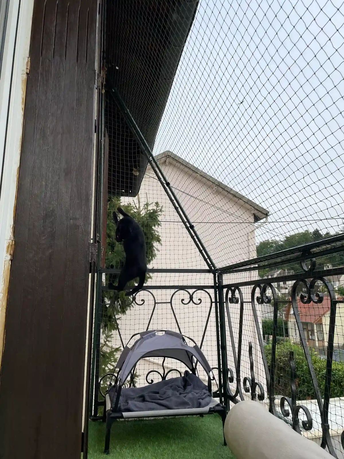 Anti Bird Nets Hyderabad