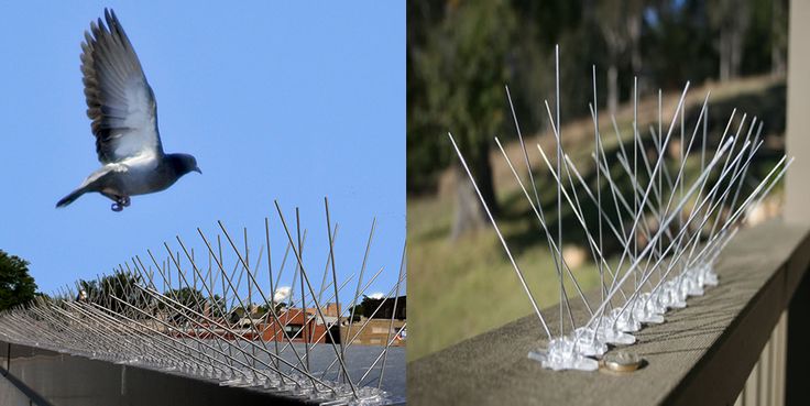 Anti Bird Nets