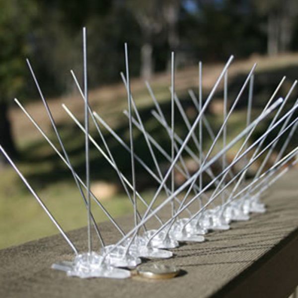 Bird Spikes Installation