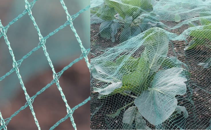 Garden Safety Nets Hyderabad