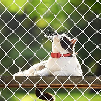 Pet Safety Nets Hyderabad