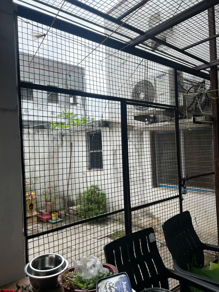 Pigeon Safety Nets in Jubilee Hills