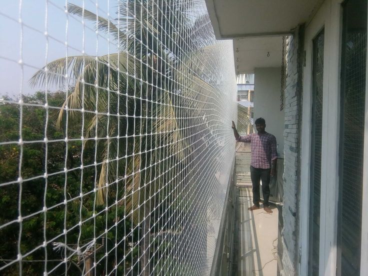 Pigeon Safety Nets in Tolichowki
