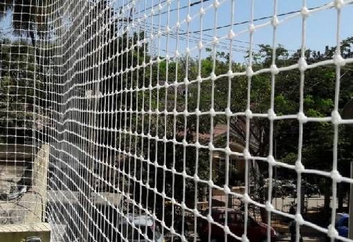 Pigeon Safety Nets in Mehdipatnam