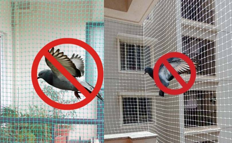 Pigeon Safety Nets in Nallagandla