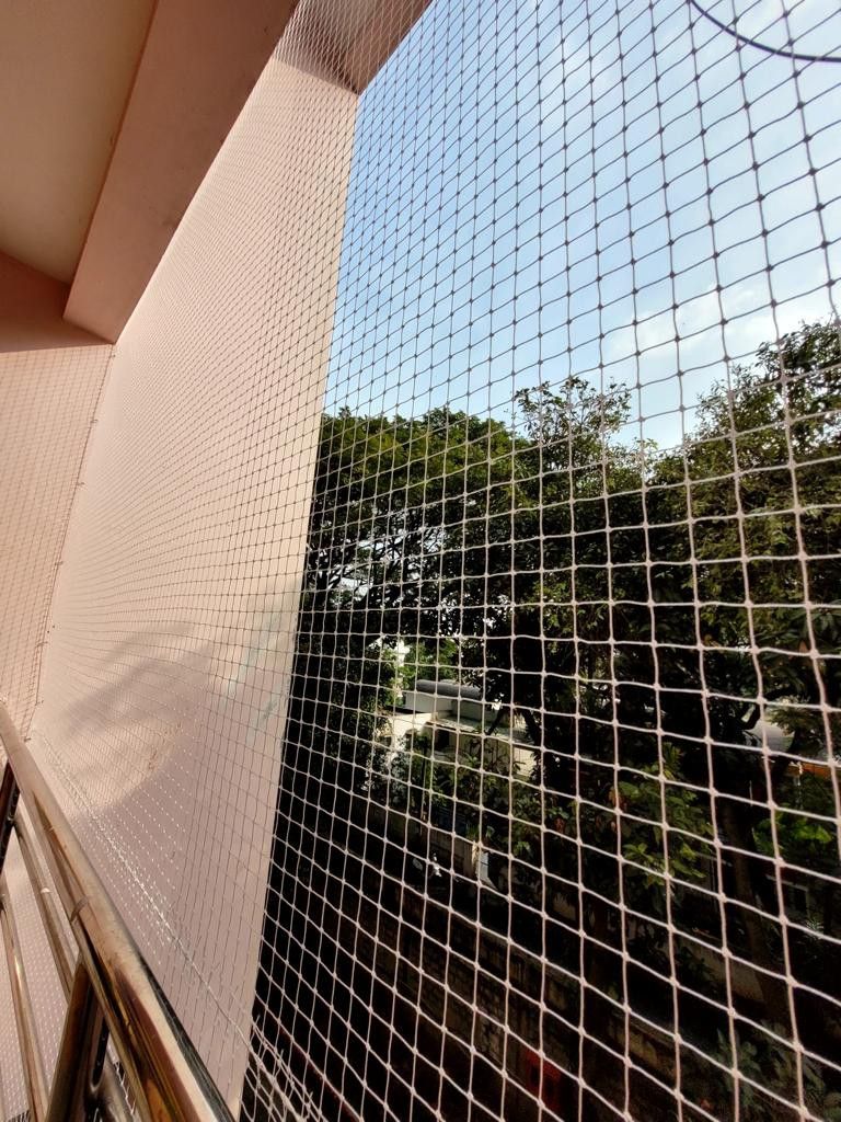 Pigeon Safety Nets in Gachibowli
