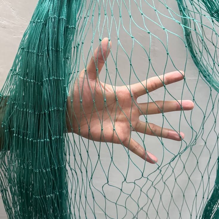 Coconut Tree Safety Nets Hyderabad
